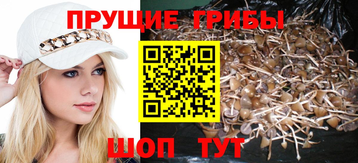 Псилоцибиновые грибы MAGIC MUSHROOMS  Вход с VPN  Добрянка  Галлюциногенные грибы прущие грибы 