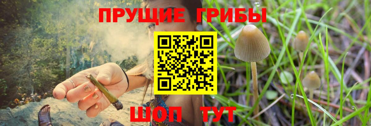 Галлюциногенные грибы мухоморы Добрянка